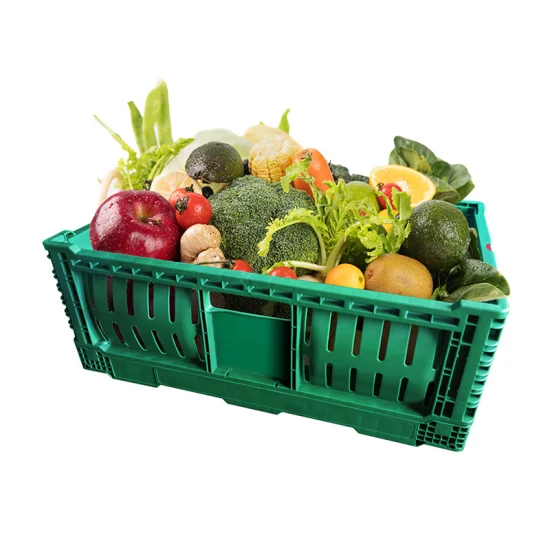 Lebensmittelglas-Hochleistungsumsatz-Maschenkorb-Plastikkisten-Kasten-Preis für Verkauf für Lagerung